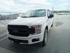 BUY FORD F-150 2019 XL 4WD SUPERCREW 5.5' BOX, Abingdon Auto Auction, Inc.